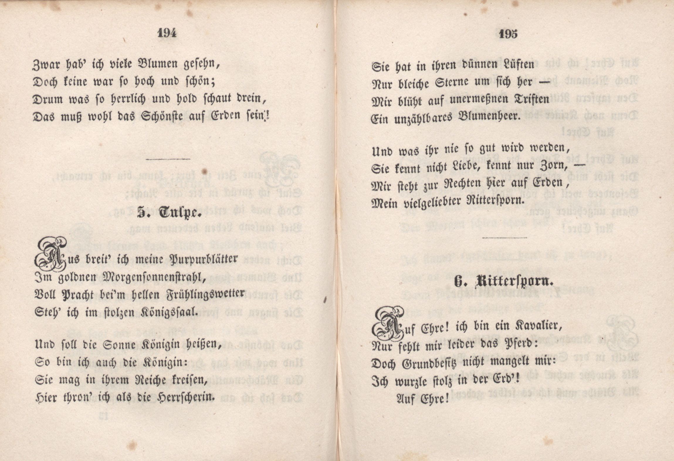 Tulpe (1846) | 1. (194-195) Основной текст