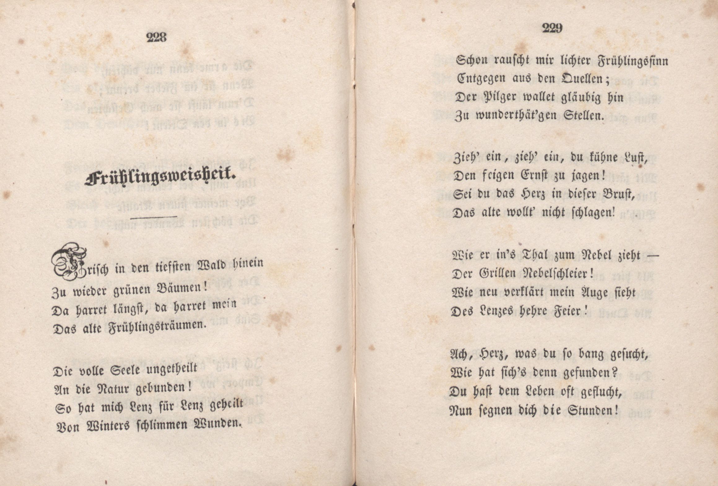 Frühlingsweisheit (1846) | 1. (228-229) Основной текст