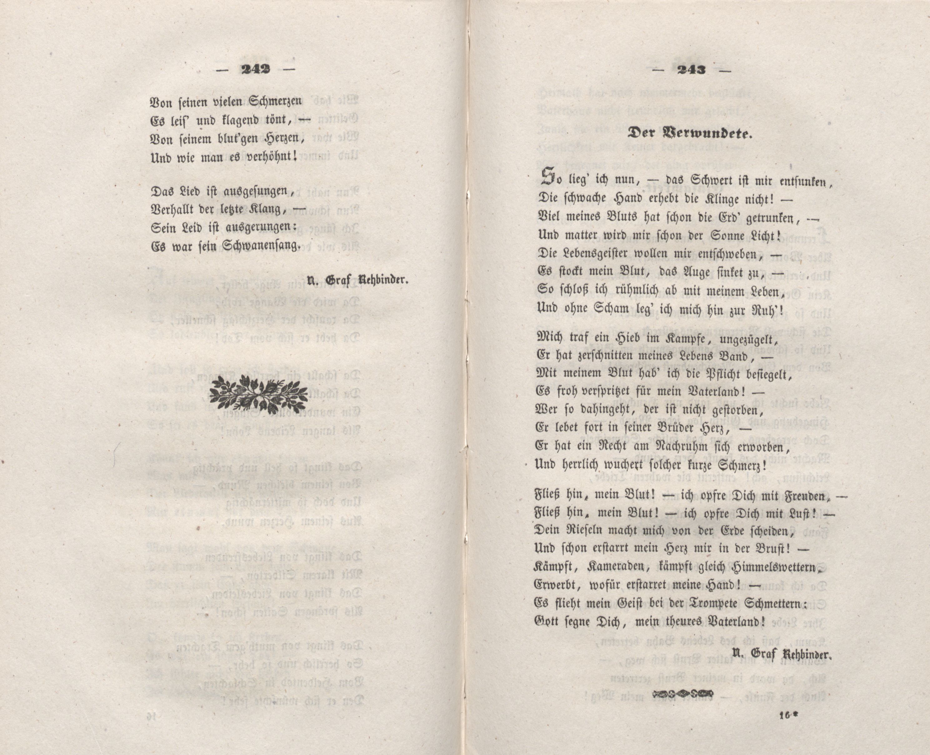 Der Verwundete (1848) | 1. (242-243) Haupttext