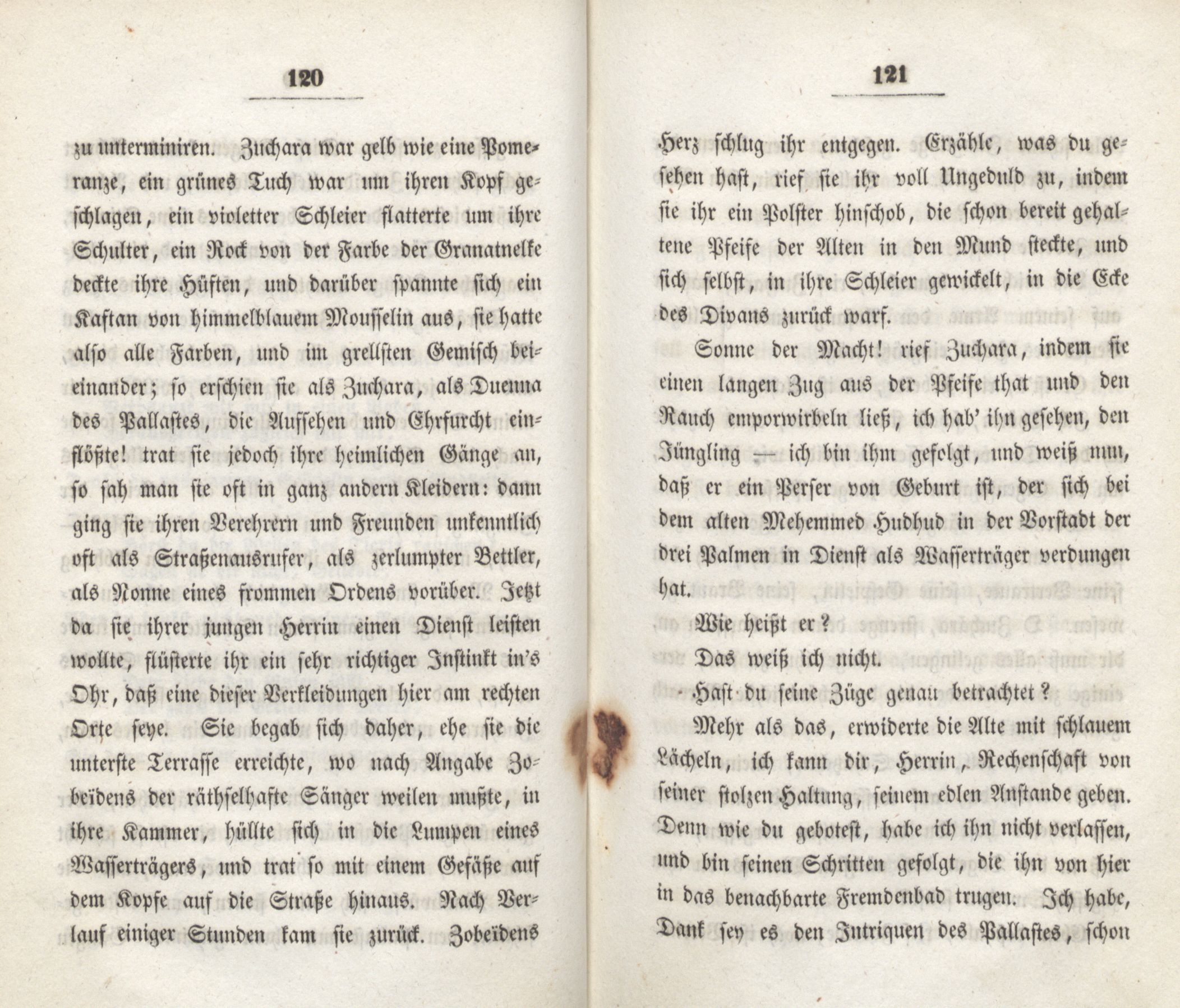 Palmyra oder das Tagebuch eines Papagei's (1838) | 63. (120-121) Haupttext