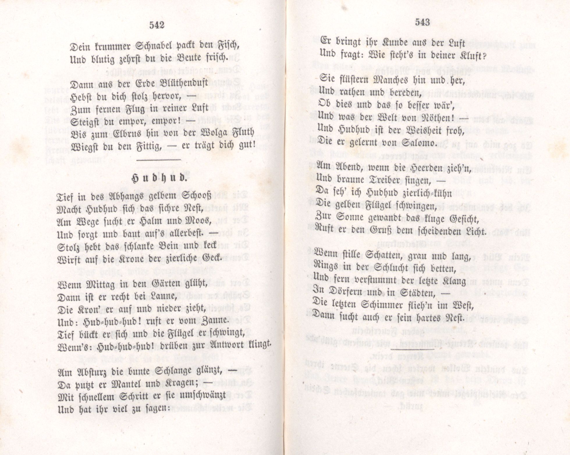 Adler (1855) | 2. (542-543) Основной текст