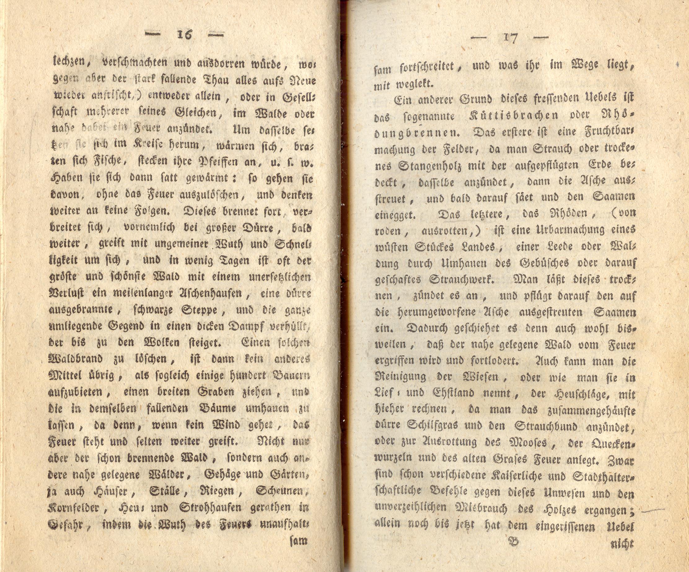 Ehstland und die Ehsten [2] (1802) | 11. (16-17) Main body of text