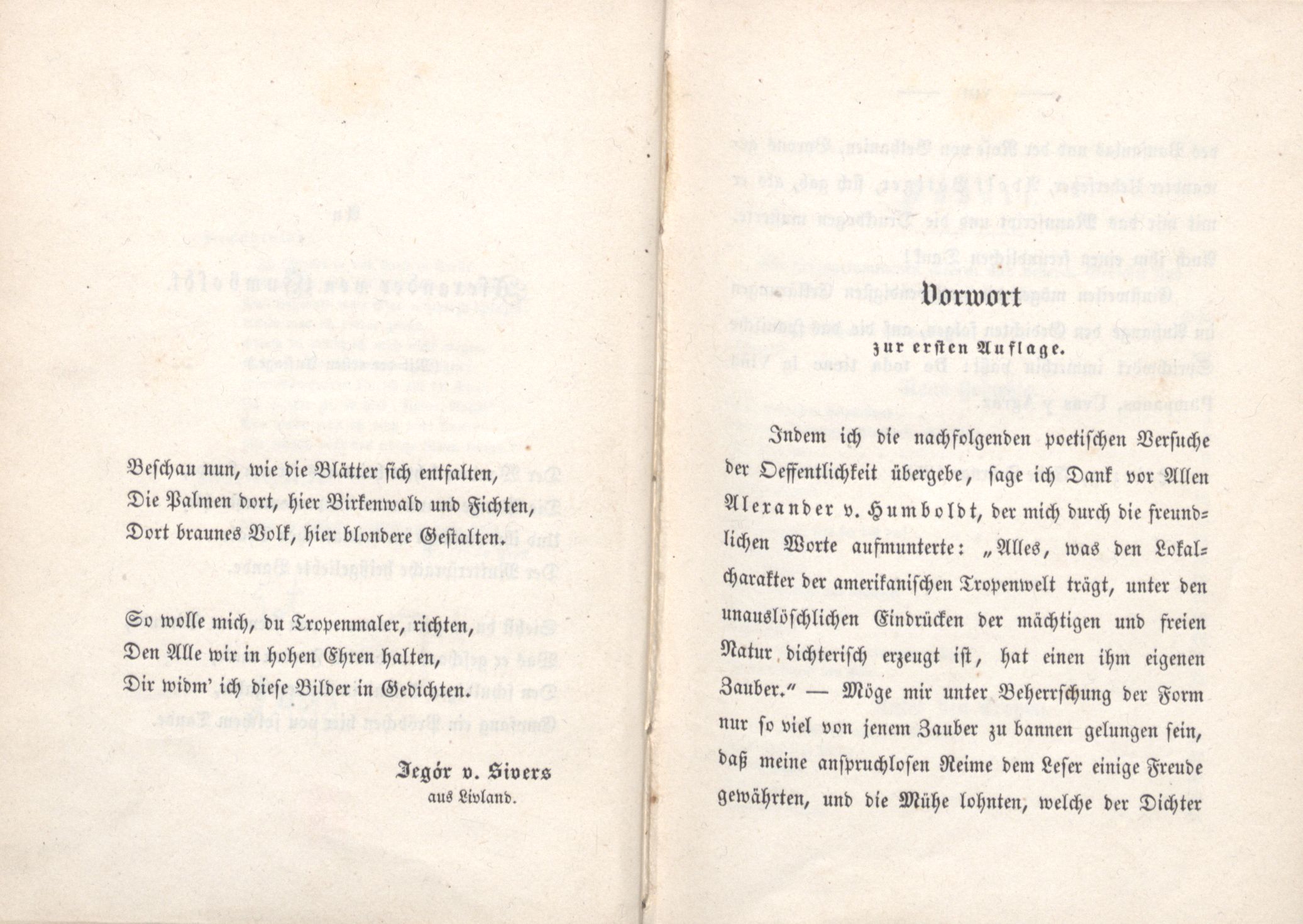 Palmen und Birken (1852) | 5. (VI-VII) Dedikation, Vorwort