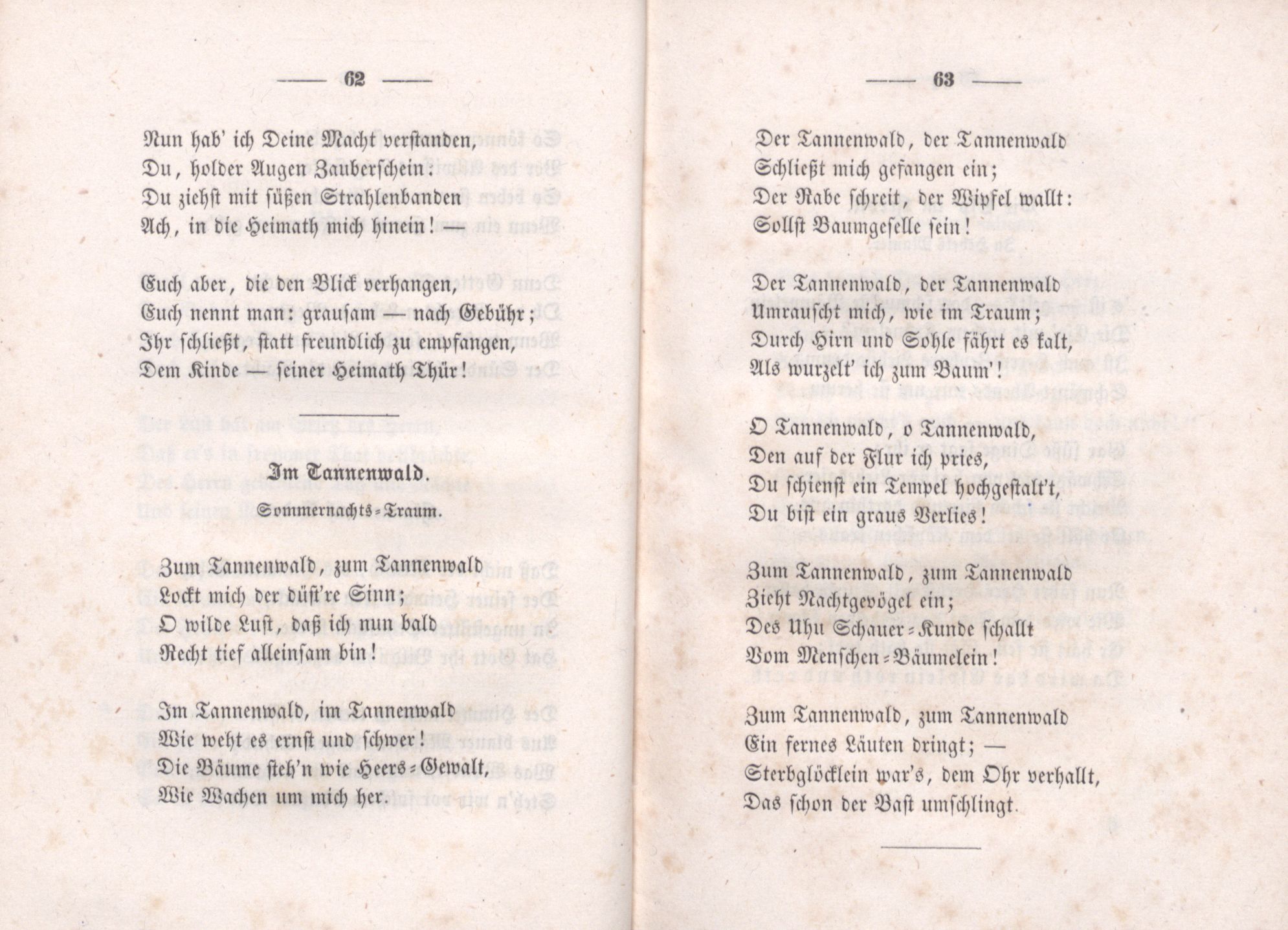 Feder-Nelken (1851) | 32. (62-63) Haupttext
