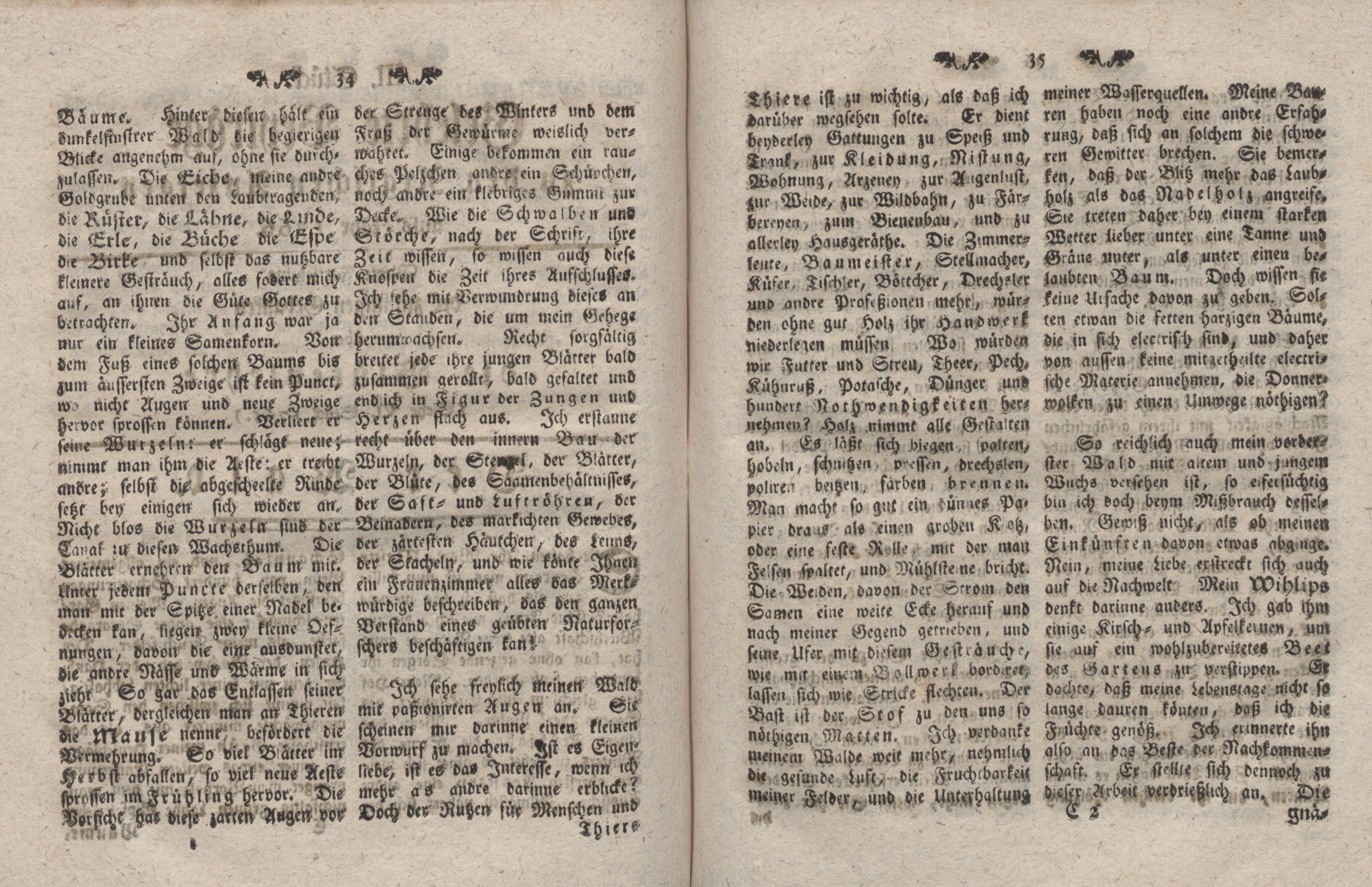 Gelehrte Beyträge zu den Rigischen Anzeigen 1766 (1766) | 10. (34-35) Haupttext