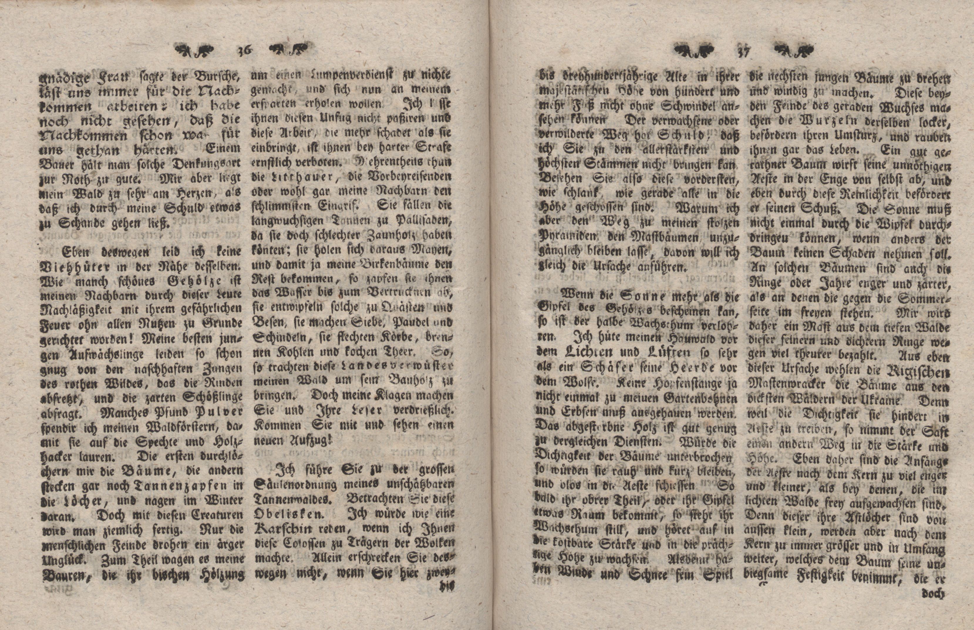 Gelehrte Beyträge zu den Rigischen Anzeigen 1766 (1766) | 11. (36-37) Main body of text