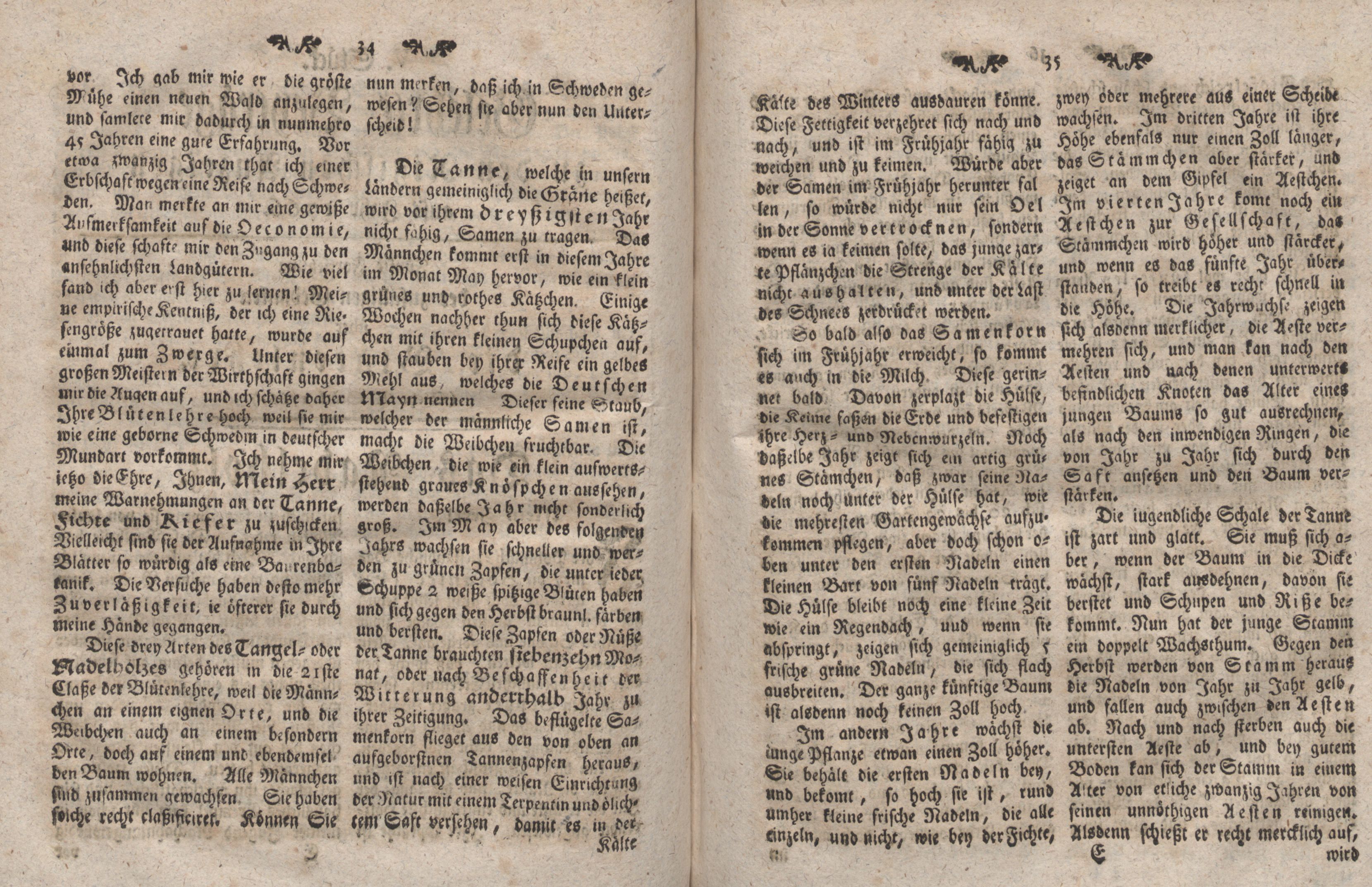 Gelehrte Beyträge zu den Rigischen Anzeigen 1766 (1766) | 18. (34-35) Main body of text