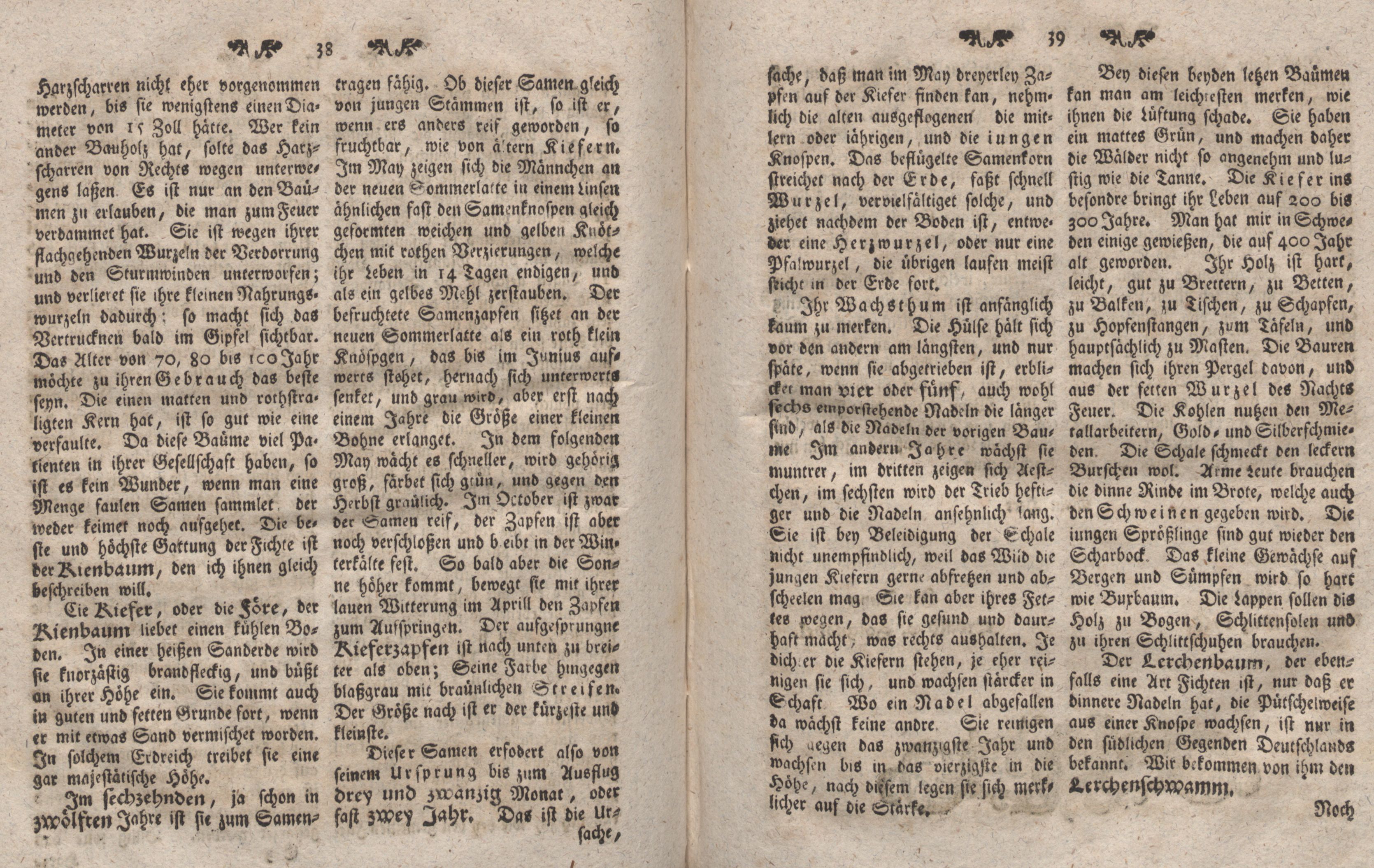 Gelehrte Beyträge zu den Rigischen Anzeigen 1766 (1766) | 20. (38-39) Main body of text