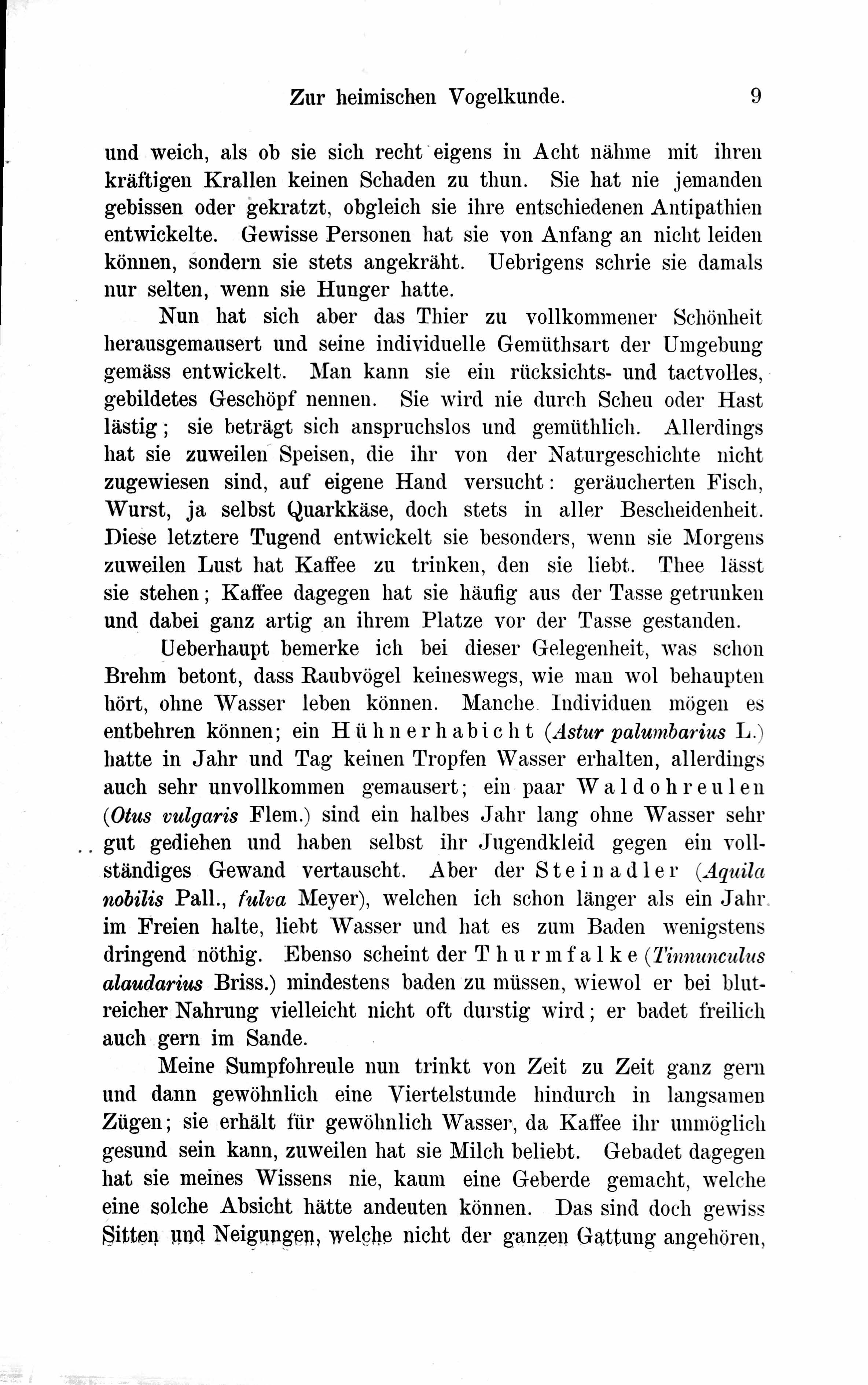 Baltische Monatsschrift [29] (1882) | 13. Haupttext
