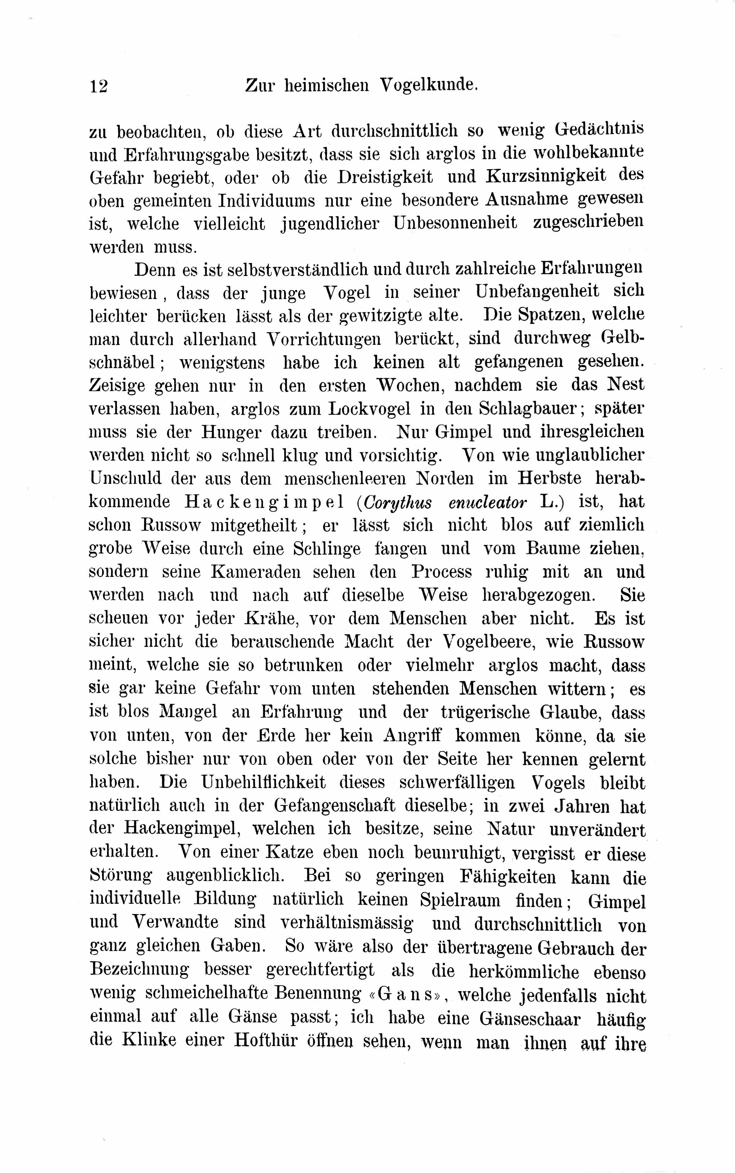 Baltische Monatsschrift [29] (1882) | 16. Põhitekst