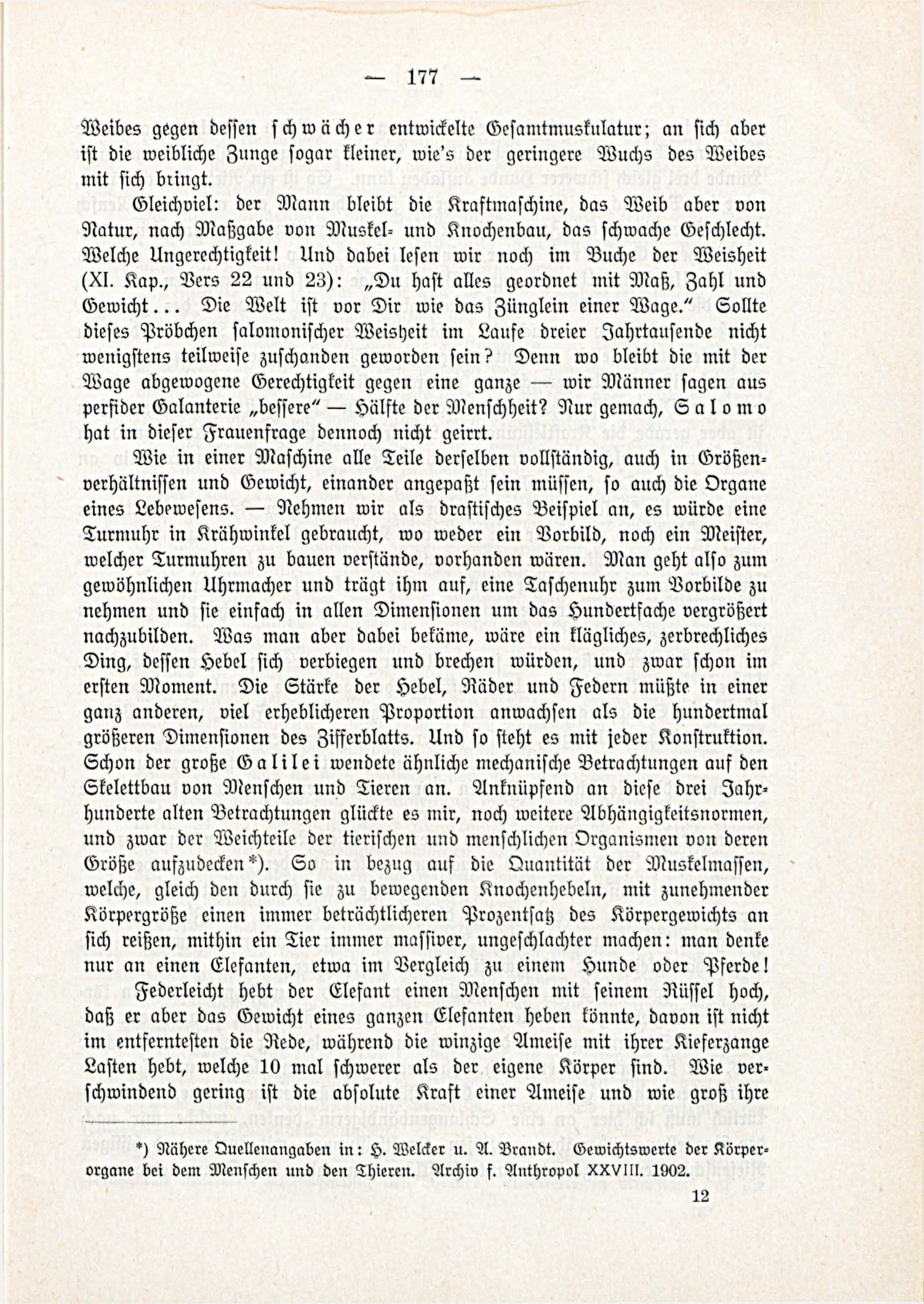 Deutsche Monatsschrift für Russland [3/03] (1914) | 23. (177) Основной текст