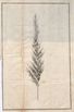 Nordische Miscellaneen [04] (1782) | 154. Foldout