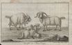 Nordische Miscellaneen [15-16-17] (1788) | 418. Foldout